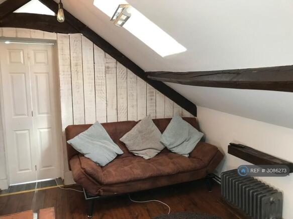 Living Room/Kitchen Showing Sofa Bed