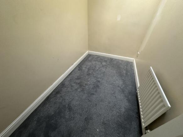 IMG 4941 T202311281640.jpg