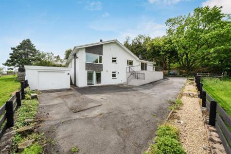 Forest Road, Lampeter