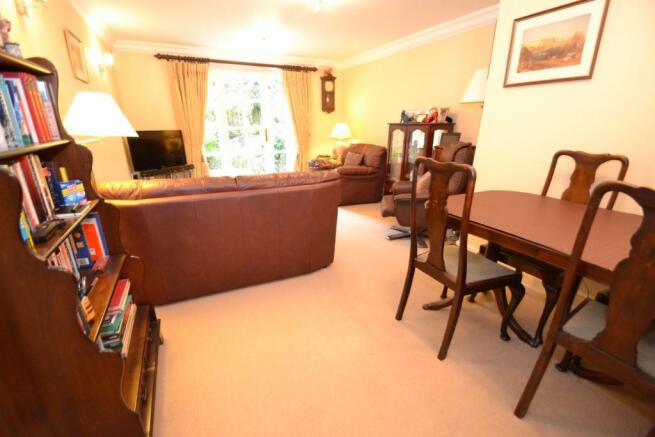 Living Room / Dinner