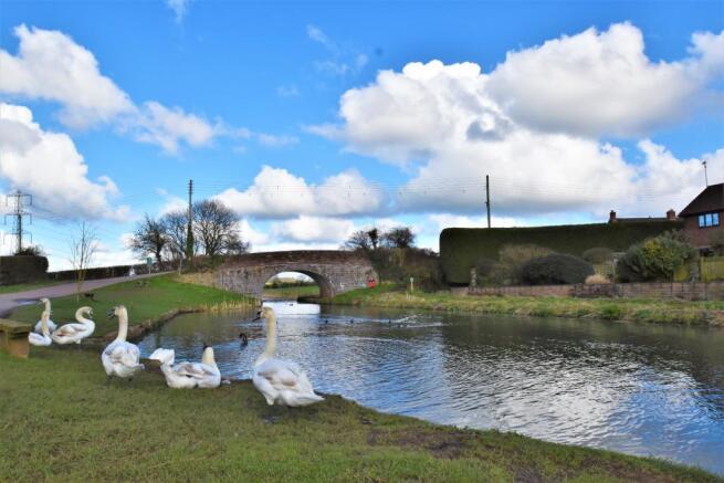 Seddons - Tiverton