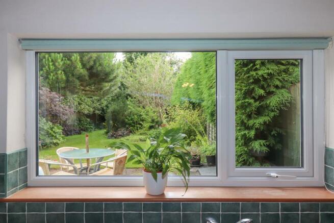 View from the Kitchen Window