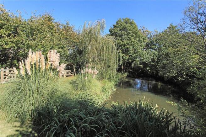 Pond