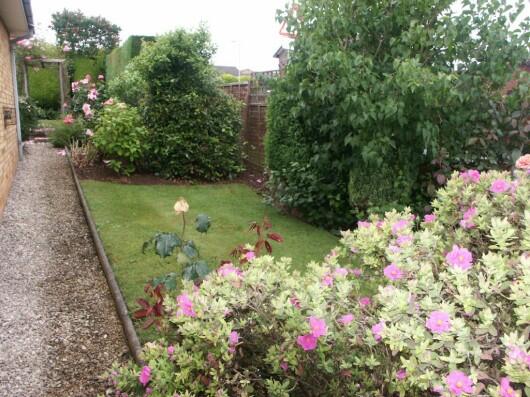 Side Garden