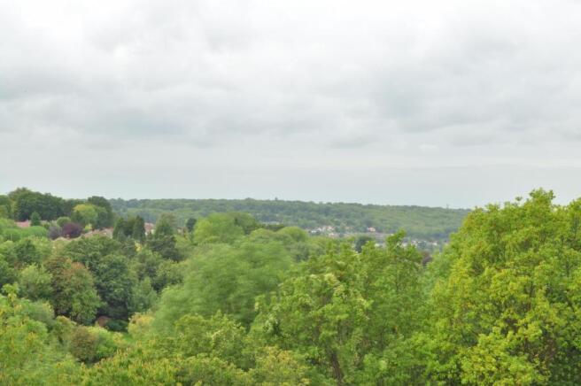 View from Penthouse