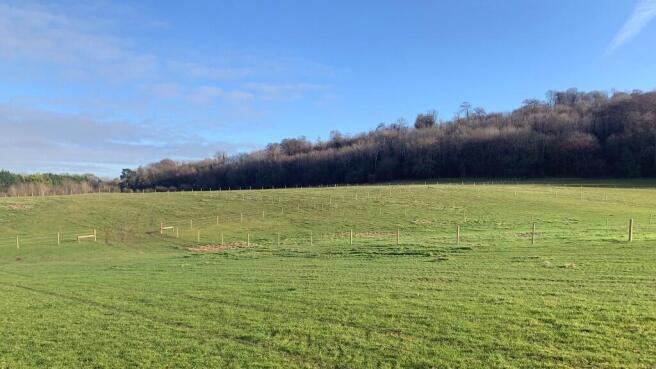 5 acres of land.