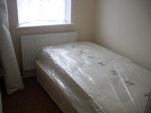 Pic 8