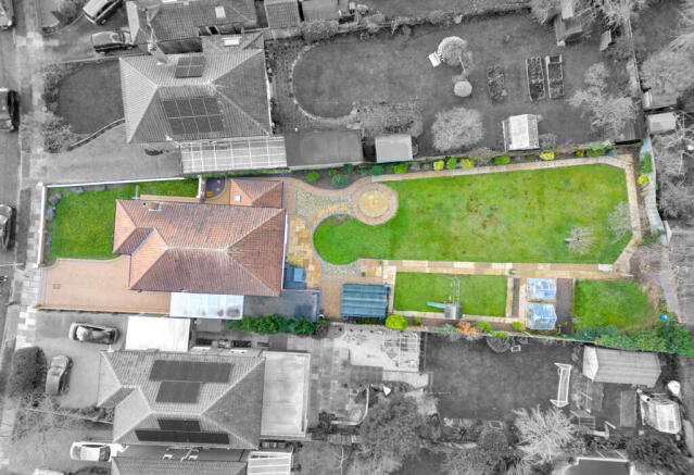 Birds Eye