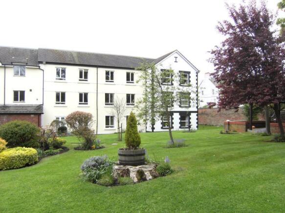 Image 11