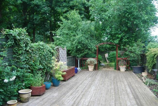 Photo 11