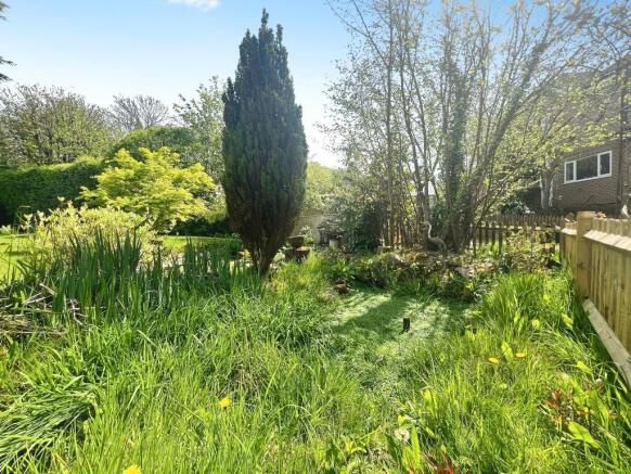 Garden pond