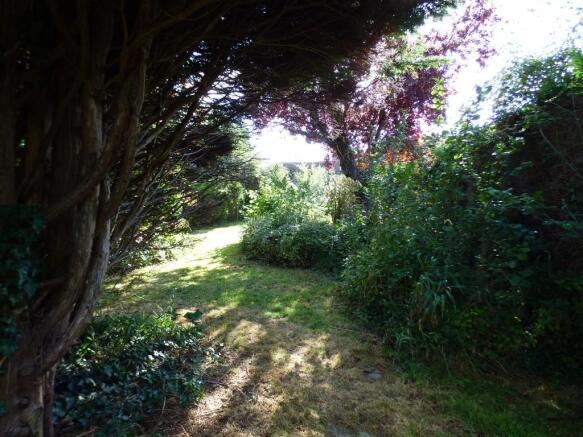 Photo 26