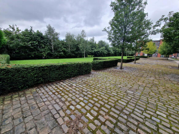 Outside Rear