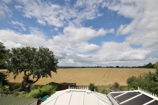 View from Bedroom