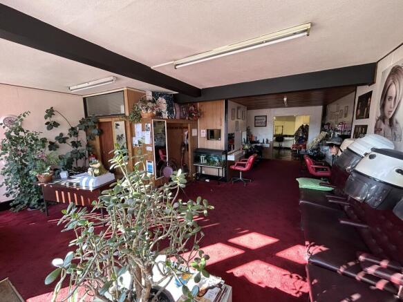 IMG 5578 T202509291503.jpeg