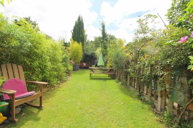 garden c.JPG