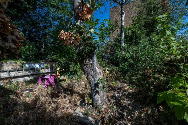 Rear Garden .jpg