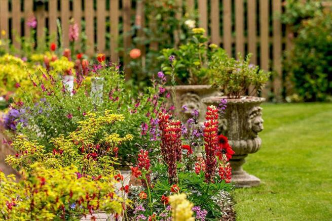 Colourful Pretty Gardens