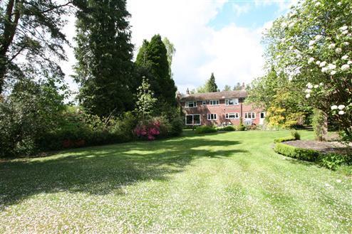 Rear of Property
