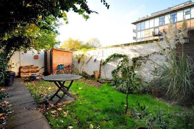 Garden 2