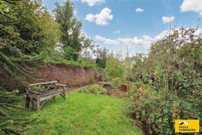 Photo 24