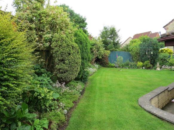 garden 3.JPG