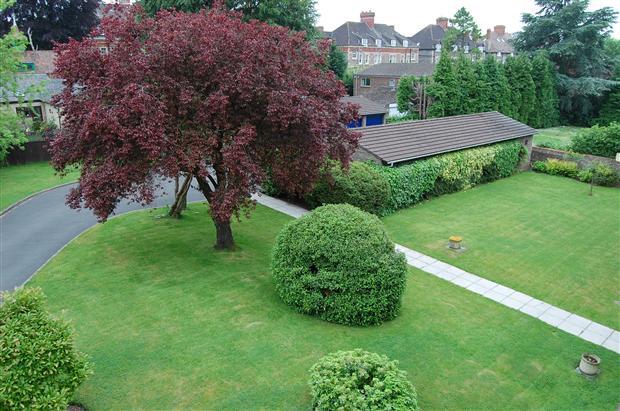 Communal Gardens