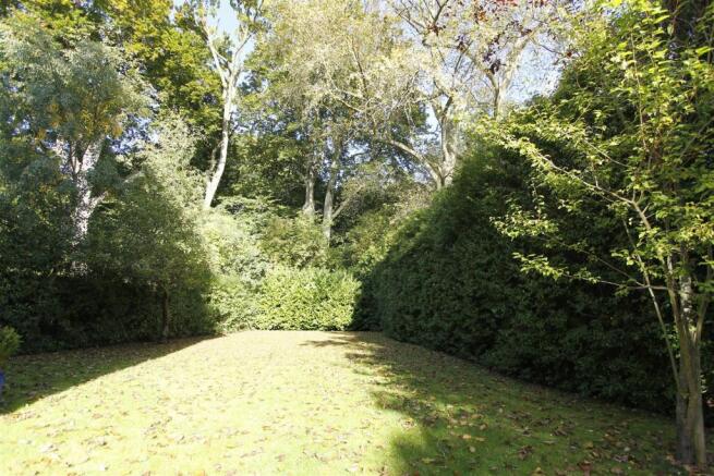 Garden.JPG