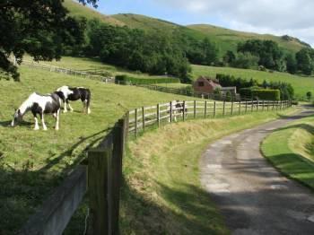 Entrance Drive