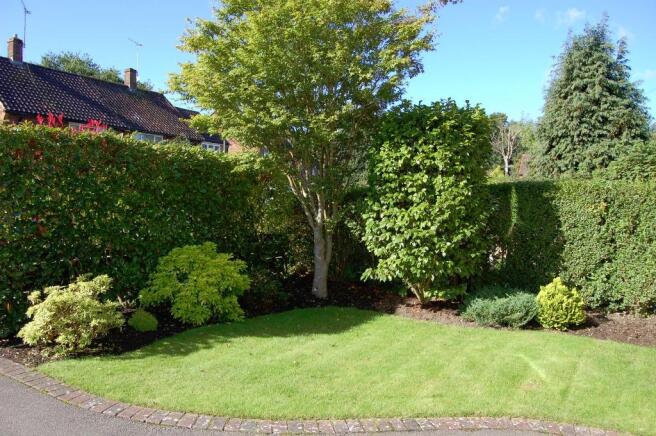 Front garden