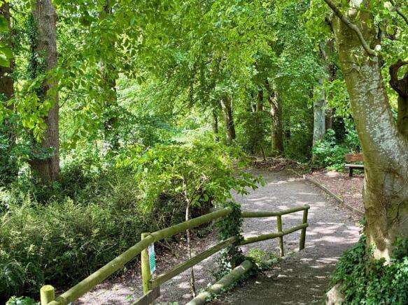 Woodland walk