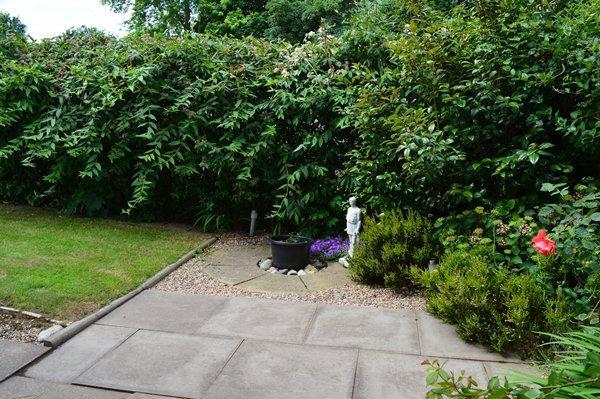 side garden