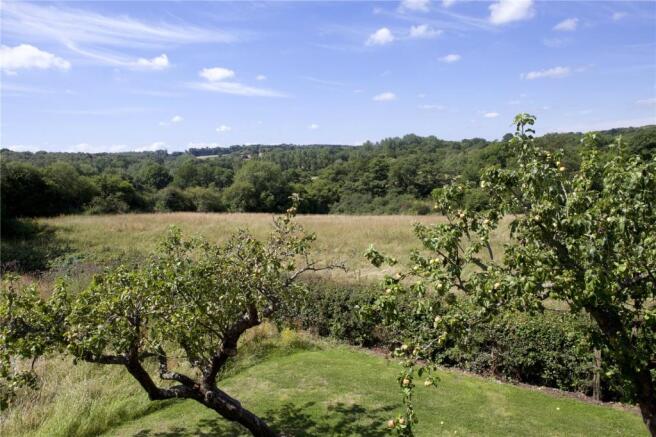 Orchard and Views