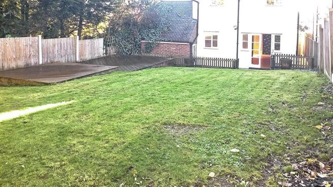 Garden Shot 2