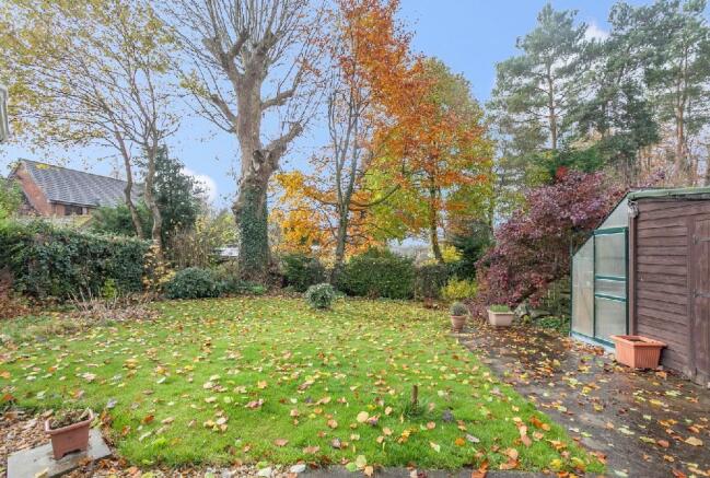 Garden 4.jpg