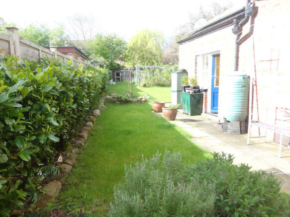 Photo 11
