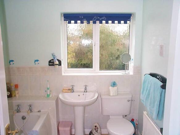 Photo 11