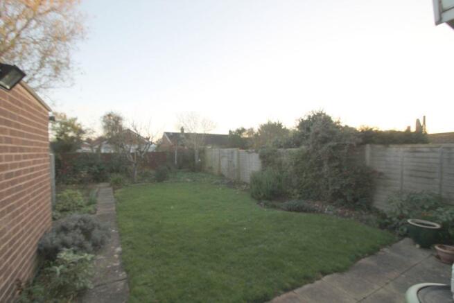 garden.JPG