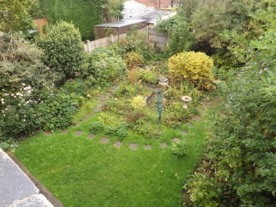 Garden From Bed 1