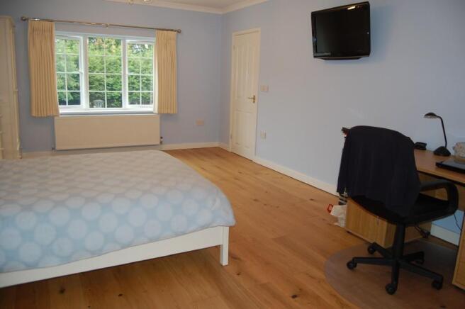Photo 10