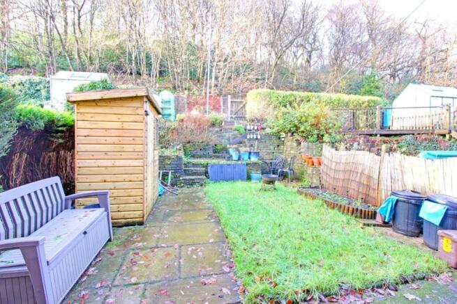 Back Garden