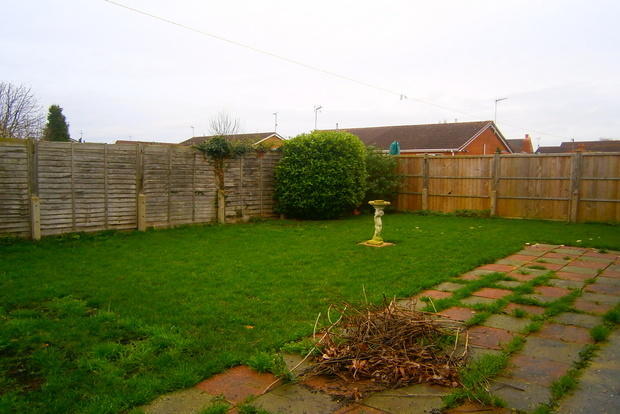 Photo 3