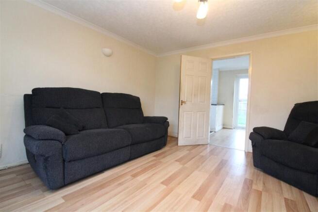 IMG 8268  Medium  T202603111229.jpg