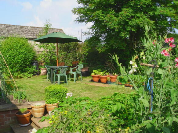 The back garden i...