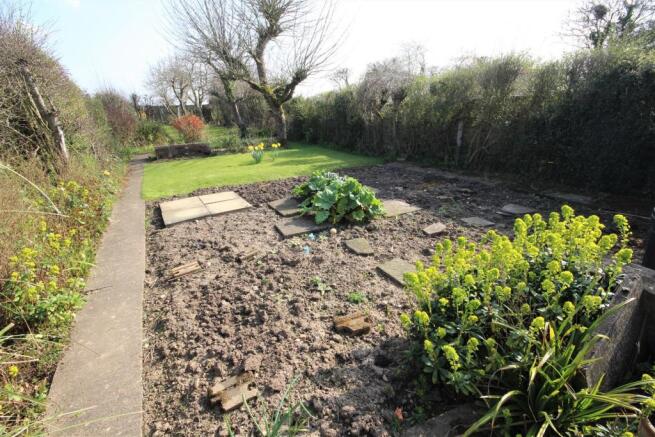 garden 5 .jpg