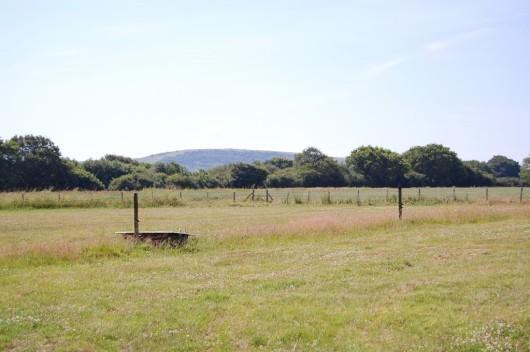 Downland views