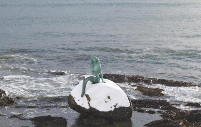 Local View.jpg