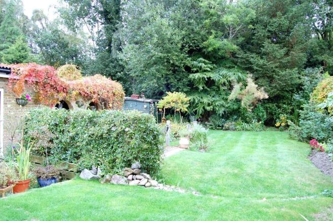 Rear garden