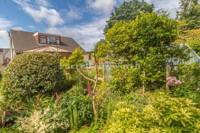 Garden image 9