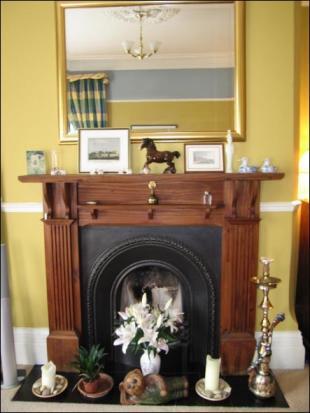 Feature Fireplace